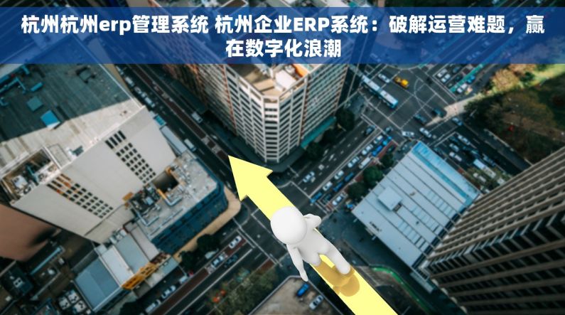 杭州杭州erp管理系统 杭州企业ERP系统：破解运营难题，赢在数字化浪潮