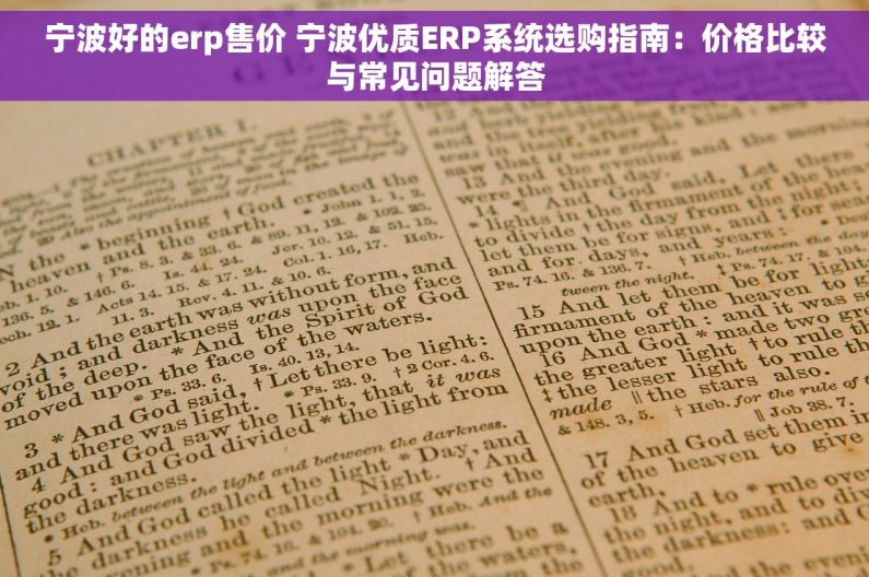 宁波好的erp售价 宁波优质ERP系统选购指南：价格比较与常见问题解答