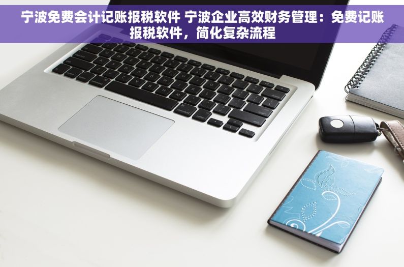 宁波免费会计记账报税软件 宁波企业高效财务管理：免费记账报税软件，简化复杂流程