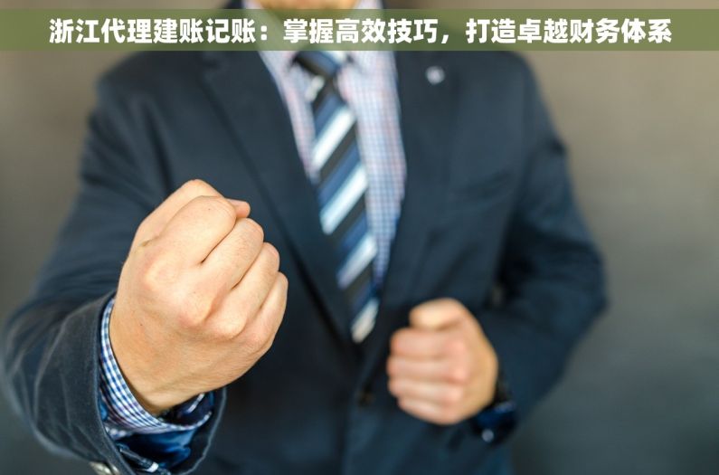 浙江代理建账记账：掌握高效技巧，打造卓越财务体系