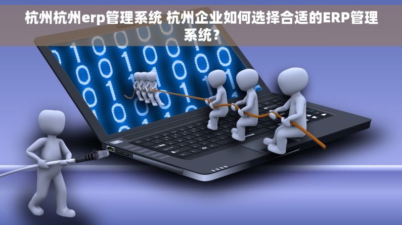 杭州杭州erp管理系统 杭州企业如何选择合适的ERP管理系统？