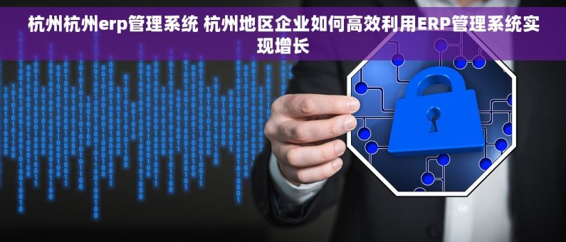 杭州杭州erp管理系统 杭州地区企业如何高效利用ERP管理系统实现增长