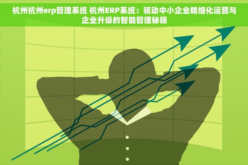 杭州杭州erp管理系统 杭州ERP系统：驱动中小企业精细化运营与企业升级的智能管理秘籍