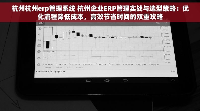 杭州杭州erp管理系统 杭州企业ERP管理实战与选型策略：优化流程降低成本，高效节省时间的双重攻略