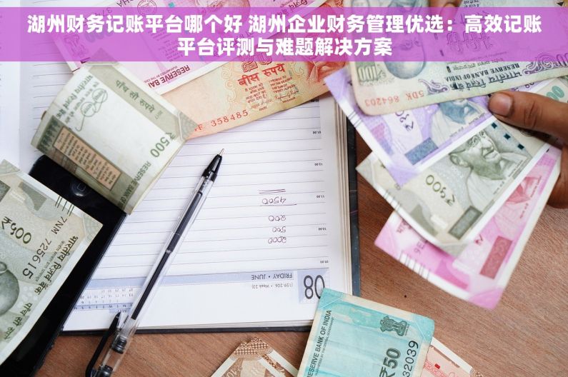 湖州财务记账平台哪个好 湖州企业财务管理优选：高效记账平台评测与难题解决方案
