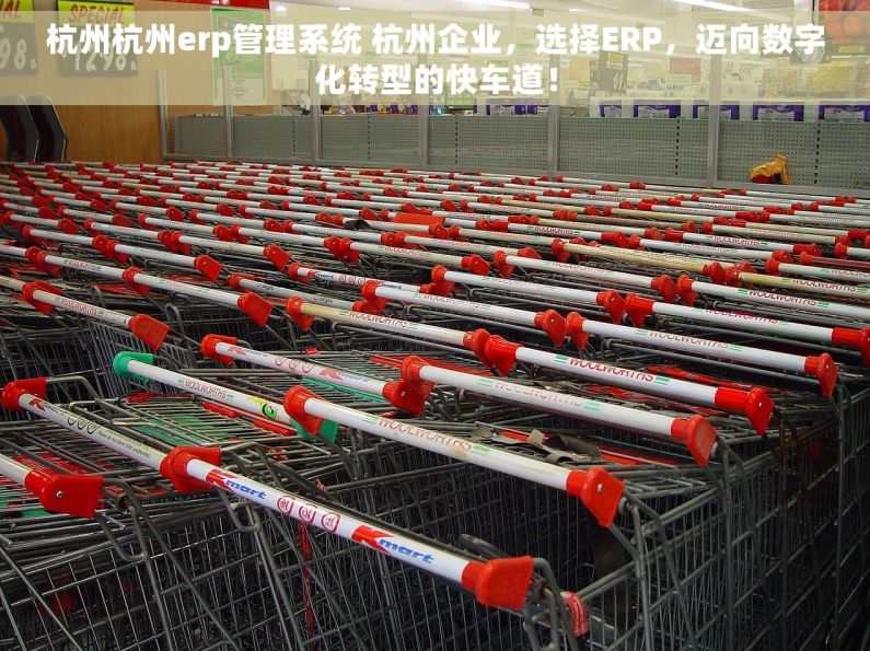 杭州杭州erp管理系统 杭州企业，选择ERP，迈向数字化转型的快车道！