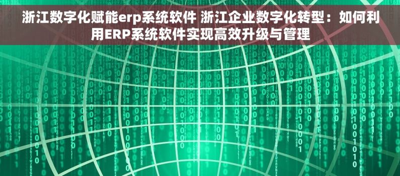 浙江数字化赋能erp系统软件 浙江企业数字化转型：如何利用ERP系统软件实现高效升级与管理