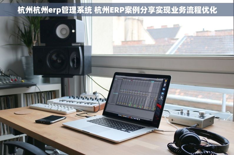 杭州杭州erp管理系统 杭州ERP案例分享实现业务流程优化
