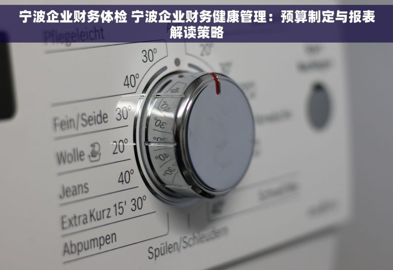 宁波企业财务体检 宁波企业财务健康管理：预算制定与报表解读策略