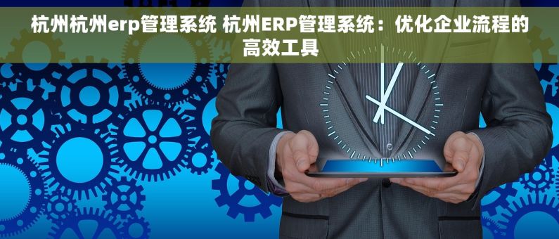 杭州杭州erp管理系统 杭州ERP管理系统：优化企业流程的高效工具