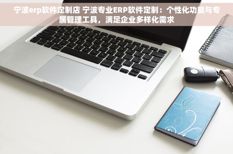 宁波erp软件定制店 宁波专业ERP软件定制：个性化功能与专属管理工具，满足企业多样化需求