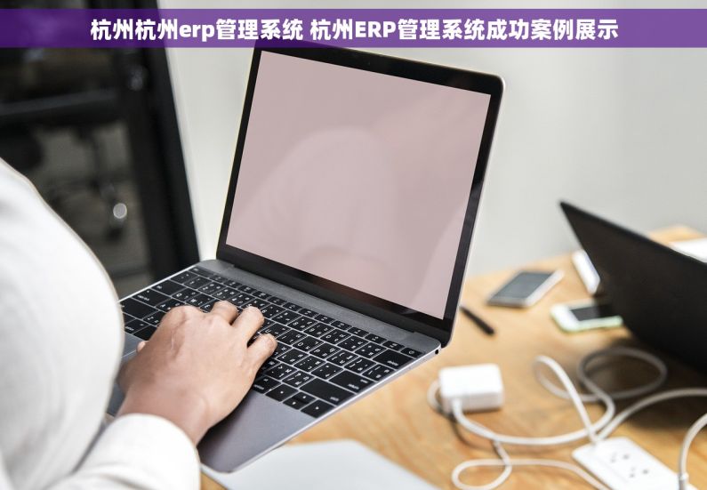 杭州杭州erp管理系统 杭州ERP管理系统成功案例展示