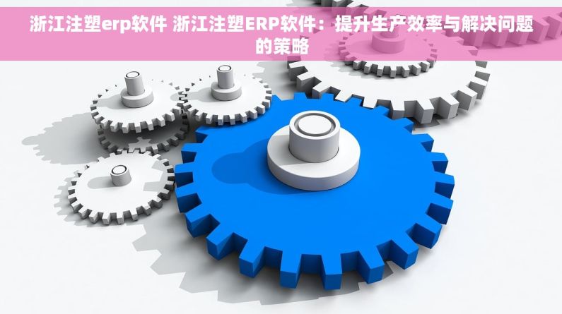 浙江注塑erp软件 浙江注塑ERP软件：提升生产效率与解决问题的策略