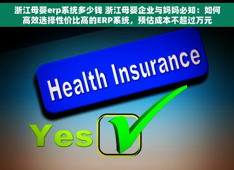 浙江母婴erp系统多少钱 浙江母婴企业与妈妈必知：如何高效选择性价比高的ERP系统，预估成本不超过万元