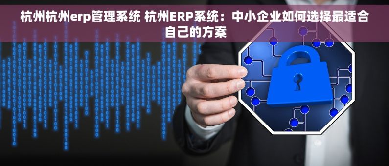 杭州杭州erp管理系统 杭州ERP系统：中小企业如何选择最适合自己的方案