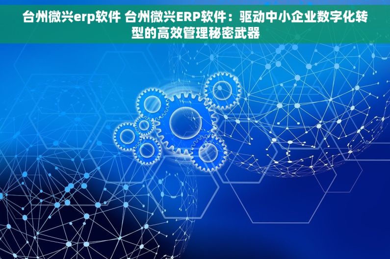 台州微兴erp软件 台州微兴ERP软件：驱动中小企业数字化转型的高效管理秘密武器
