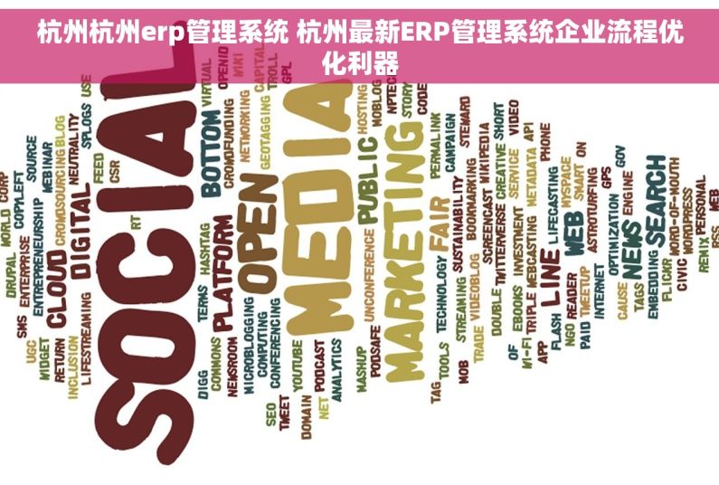 杭州杭州erp管理系统 杭州最新ERP管理系统企业流程优化利器