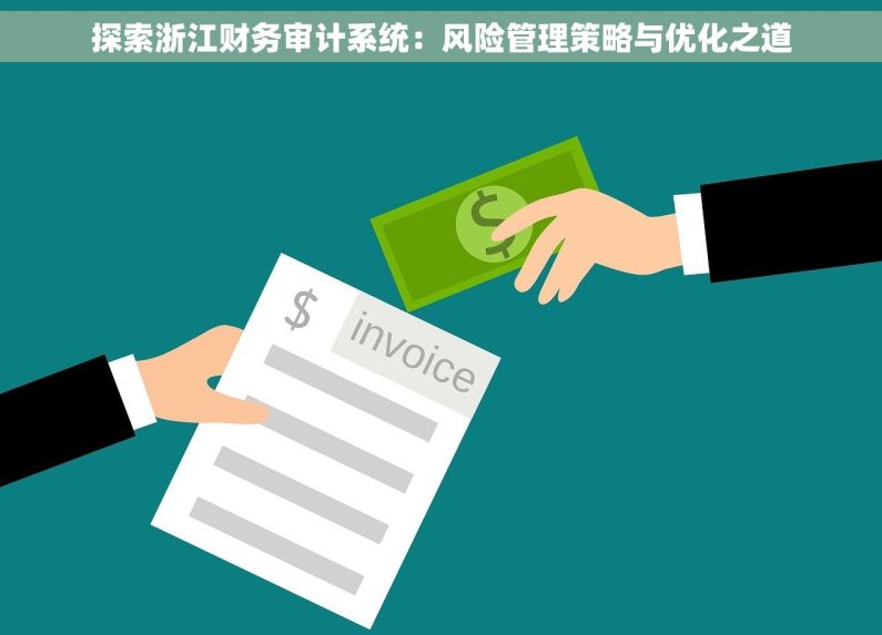 探索浙江财务审计系统：风险管理策略与优化之道
