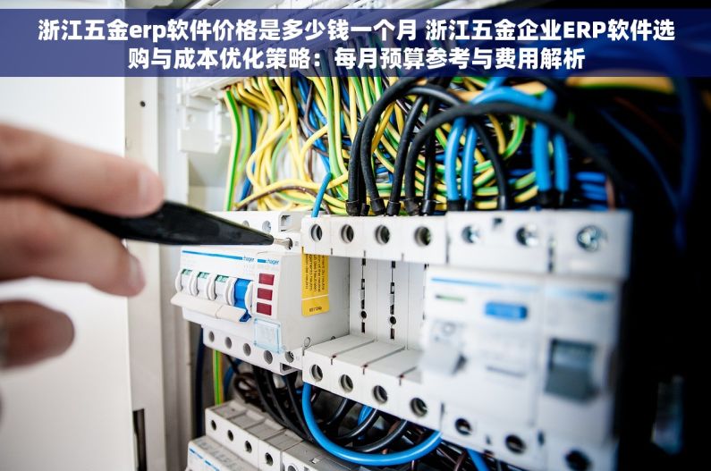 浙江五金erp软件价格是多少钱一个月 浙江五金企业ERP软件选购与成本优化策略：每月预算参考与费用解析