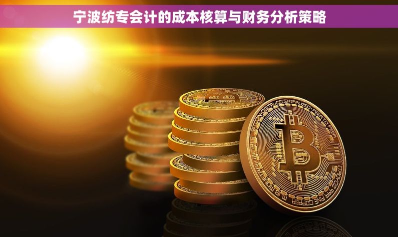 宁波纺专会计的成本核算与财务分析策略