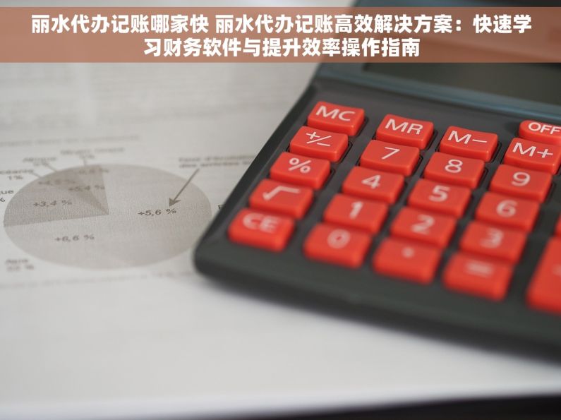 丽水代办记账哪家快 丽水代办记账高效解决方案：快速学习财务软件与提升效率操作指南