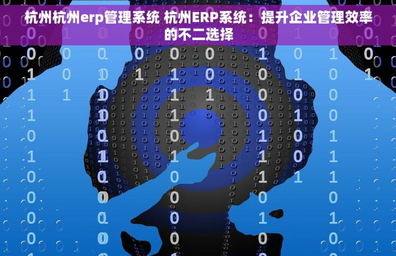 杭州杭州erp管理系统 杭州ERP系统：提升企业管理效率的不二选择
