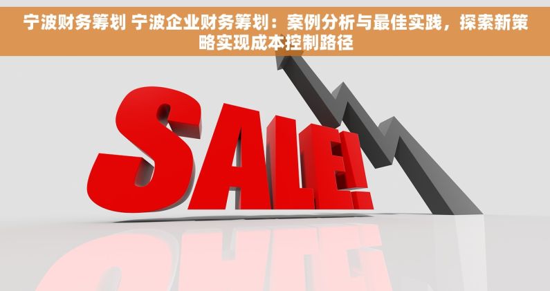 宁波财务筹划 宁波企业财务筹划：案例分析与最佳实践，探索新策略实现成本控制路径