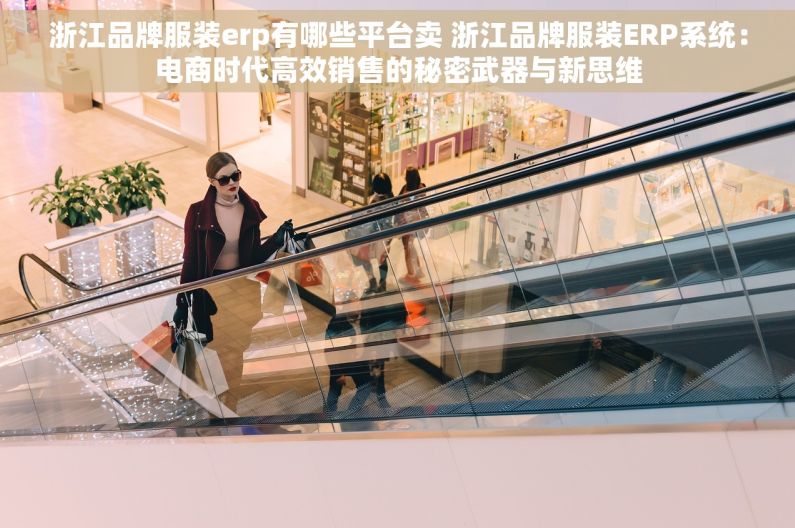 浙江品牌服装erp有哪些平台卖 浙江品牌服装ERP系统：电商时代高效销售的秘密武器与新思维