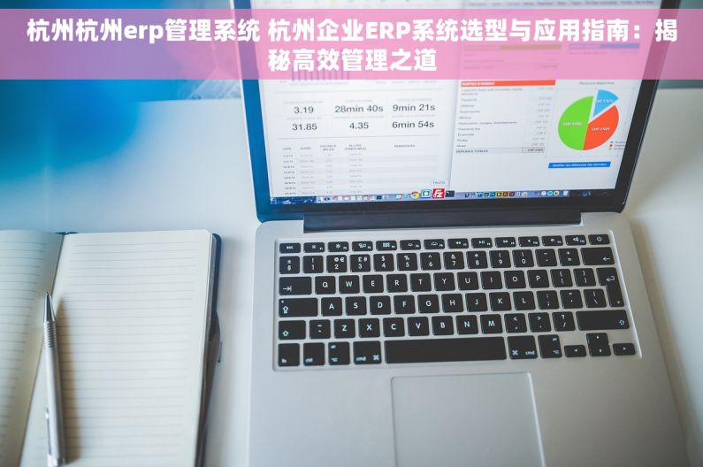 杭州杭州erp管理系统 杭州企业ERP系统选型与应用指南：揭秘高效管理之道