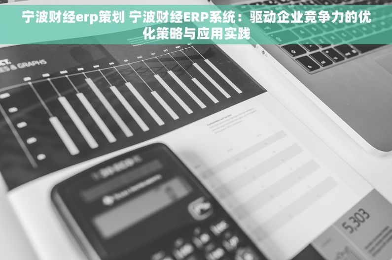 宁波财经erp策划 宁波财经ERP系统：驱动企业竞争力的优化策略与应用实践