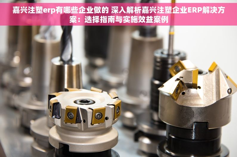 嘉兴注塑erp有哪些企业做的 深入解析嘉兴注塑企业ERP解决方案：选择指南与实施效益案例