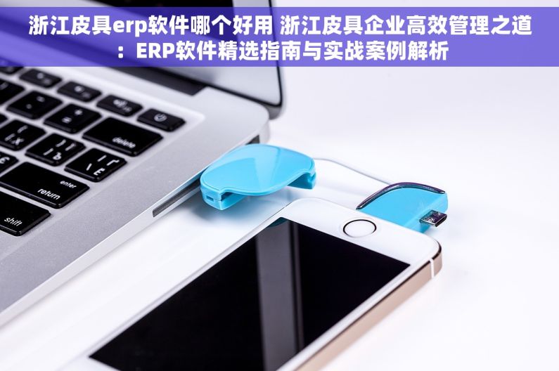 浙江皮具erp软件哪个好用 浙江皮具企业高效管理之道：ERP软件精选指南与实战案例解析