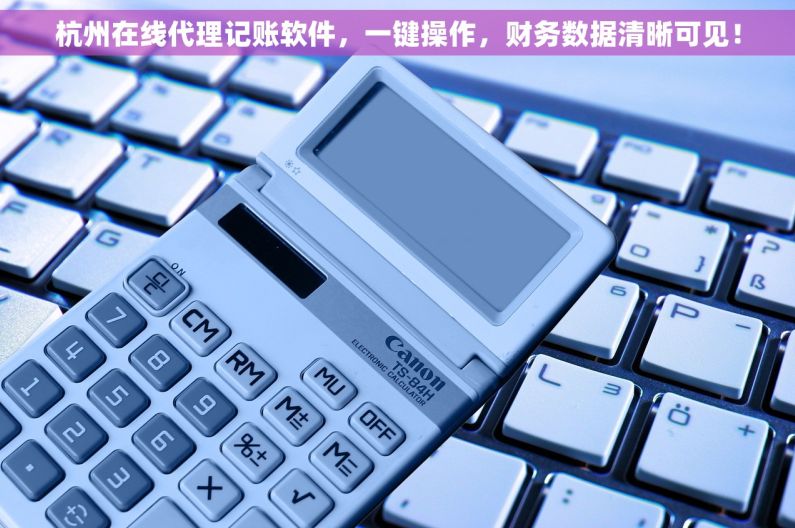 杭州在线代理记账软件，一键操作，财务数据清晰可见！