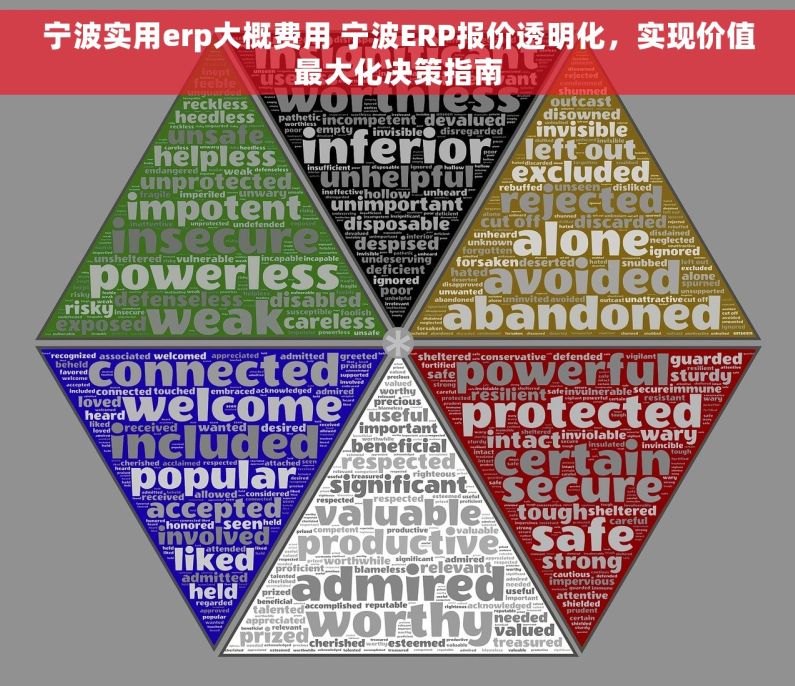宁波实用erp大概费用 宁波ERP报价透明化，实现价值最大化决策指南
