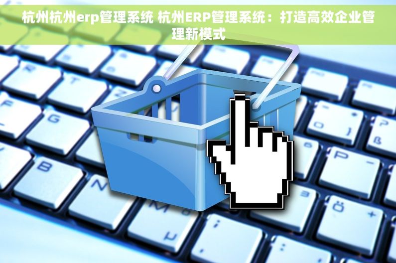 杭州杭州erp管理系统 杭州ERP管理系统：打造高效企业管理新模式