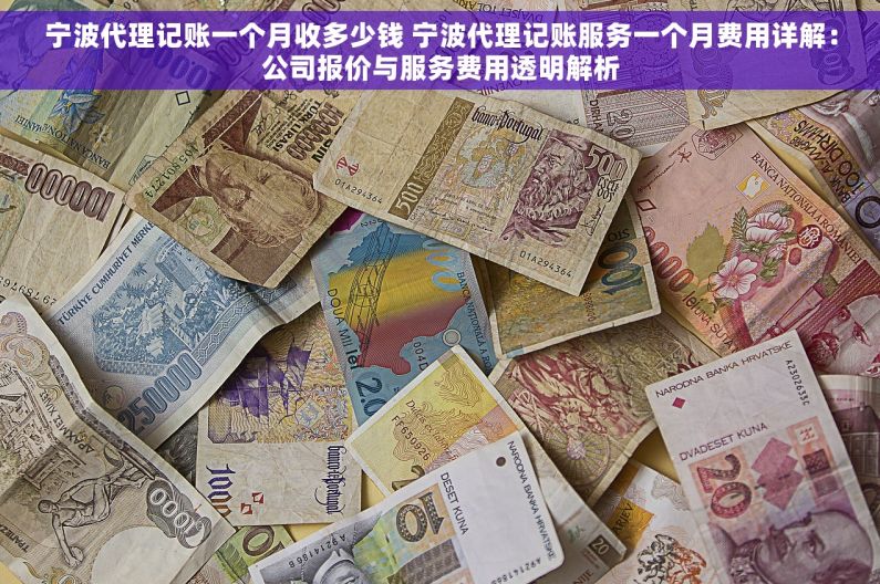 宁波代理记账一个月收多少钱 宁波代理记账服务一个月费用详解：公司报价与服务费用透明解析
