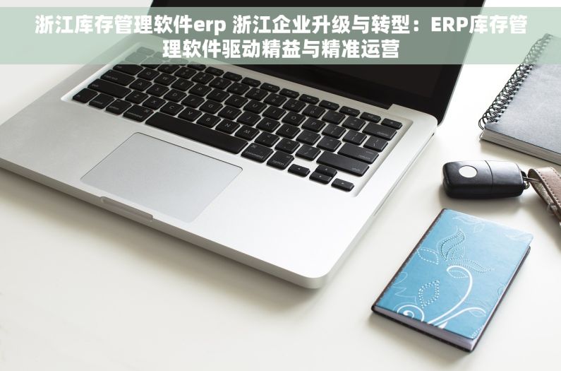 浙江库存管理软件erp 浙江企业升级与转型：ERP库存管理软件驱动精益与精准运营