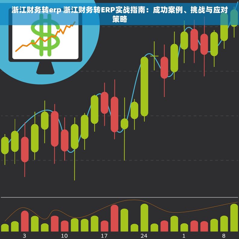 浙江财务转erp 浙江财务转ERP实战指南：成功案例、挑战与应对策略