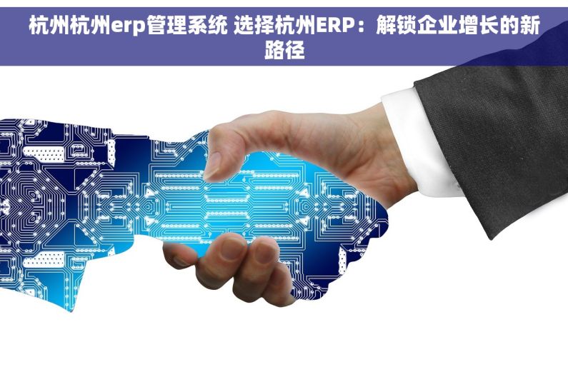杭州杭州erp管理系统 选择杭州ERP：解锁企业增长的新路径