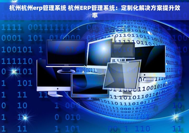 杭州杭州erp管理系统 杭州ERP管理系统：定制化解决方案提升效率