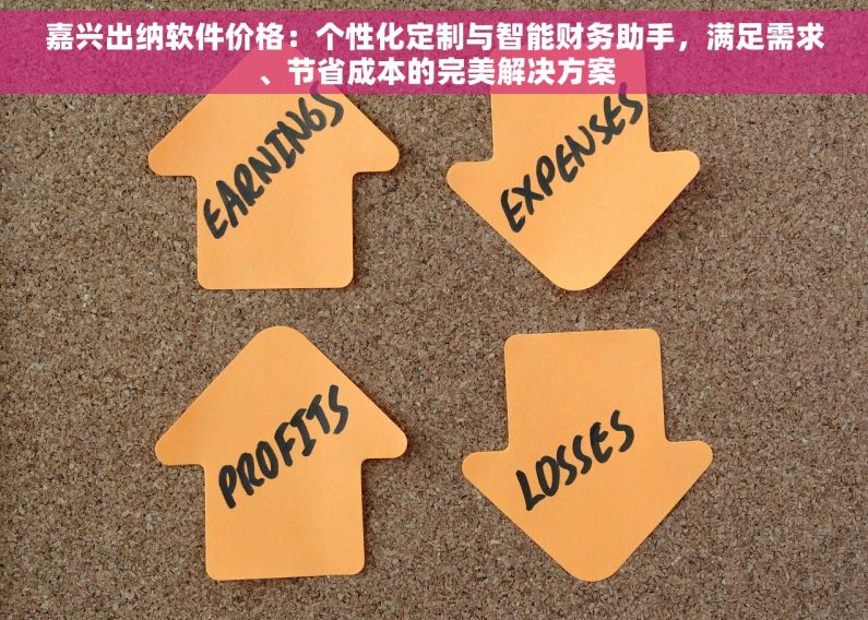 嘉兴出纳软件价格：个性化定制与智能财务助手，满足需求、节省成本的完美解决方案