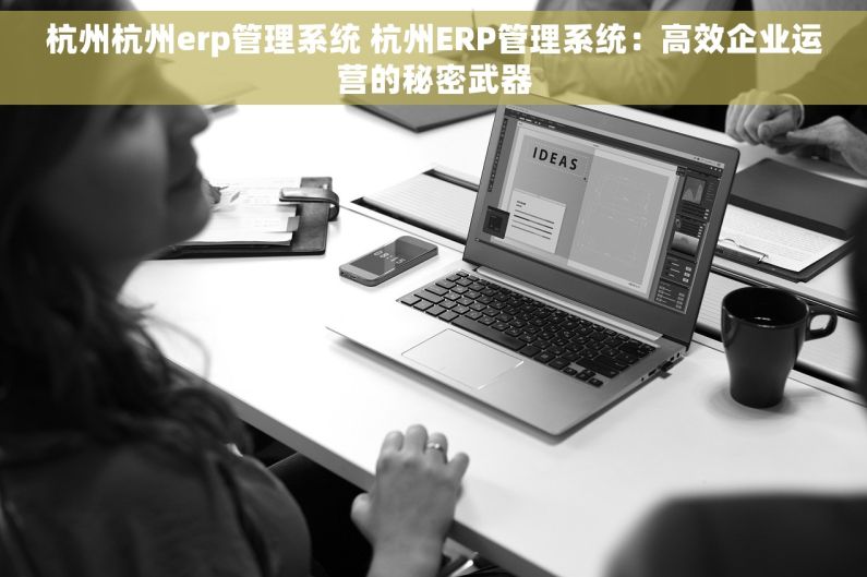 杭州杭州erp管理系统 杭州ERP管理系统：高效企业运营的秘密武器