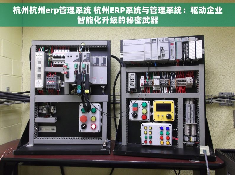 杭州杭州erp管理系统 杭州ERP系统与管理系统：驱动企业智能化升级的秘密武器