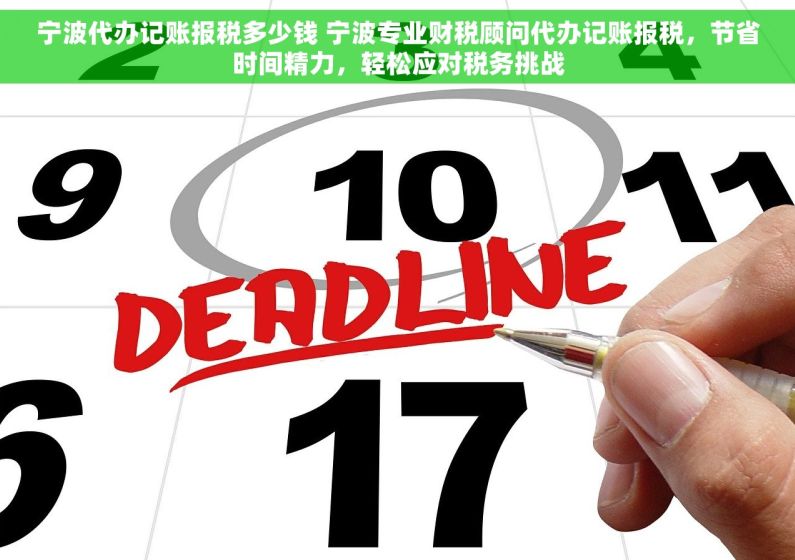 宁波代办记账报税多少钱 宁波专业财税顾问代办记账报税，节省时间精力，轻松应对税务挑战