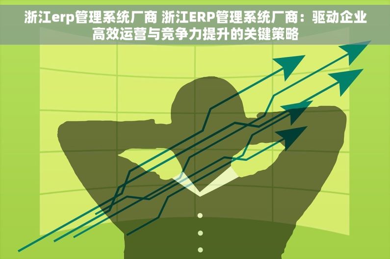 浙江erp管理系统厂商 浙江ERP管理系统厂商：驱动企业高效运营与竞争力提升的关键策略