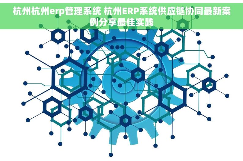杭州杭州erp管理系统 杭州ERP系统供应链协同最新案例分享最佳实践
