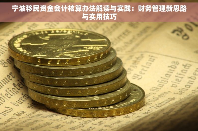宁波移民资金会计核算办法解读与实践：财务管理新思路与实用技巧