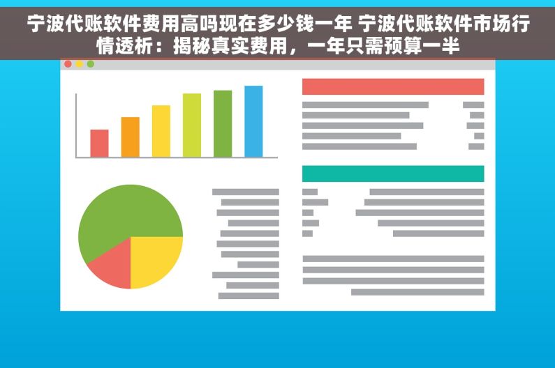 宁波代账软件费用高吗现在多少钱一年 宁波代账软件市场行情透析：揭秘真实费用，一年只需预算一半