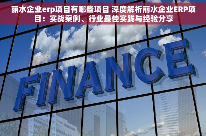 丽水企业erp项目有哪些项目 深度解析丽水企业ERP项目：实战案例、行业最佳实践与经验分享