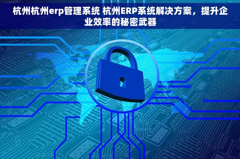 杭州杭州erp管理系统 杭州ERP系统解决方案，提升企业效率的秘密武器